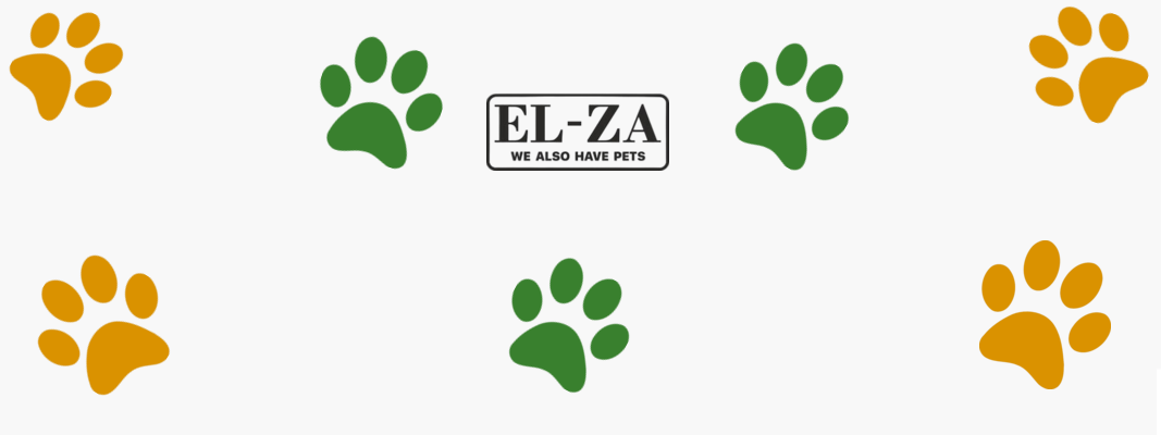 ELZA Welcome